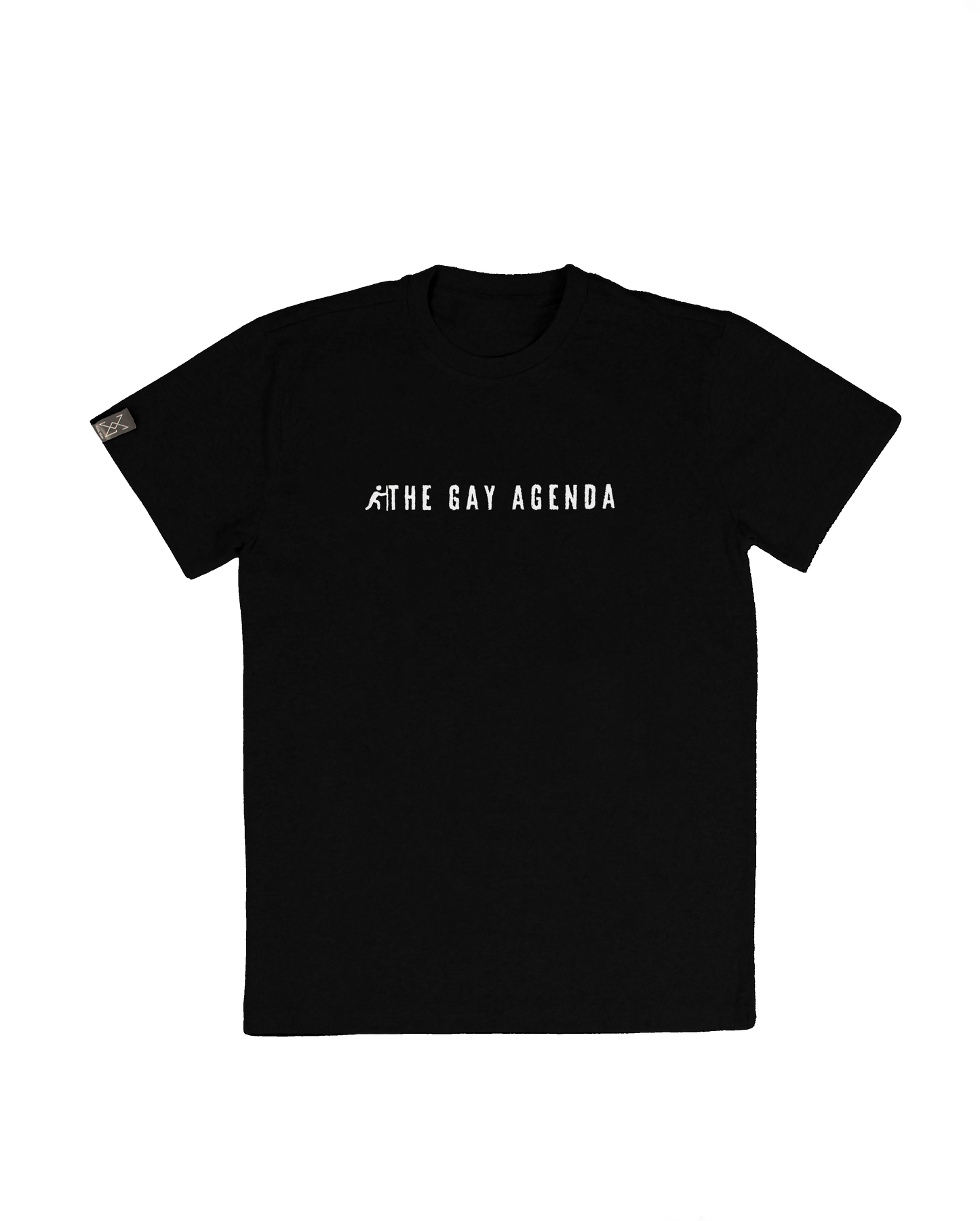 GAY AGENDA T-SHIRT