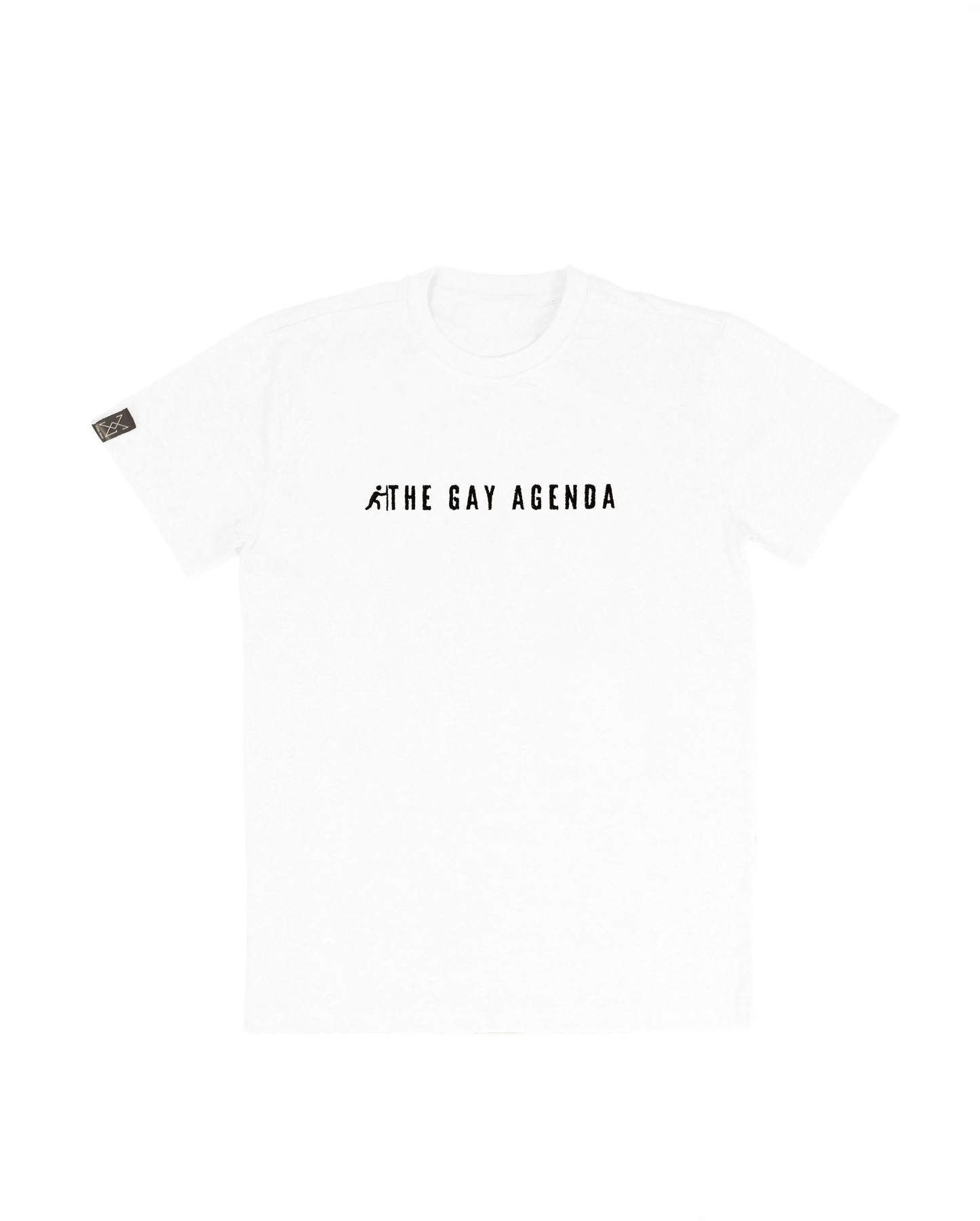 GAY AGENDA T-SHIRT